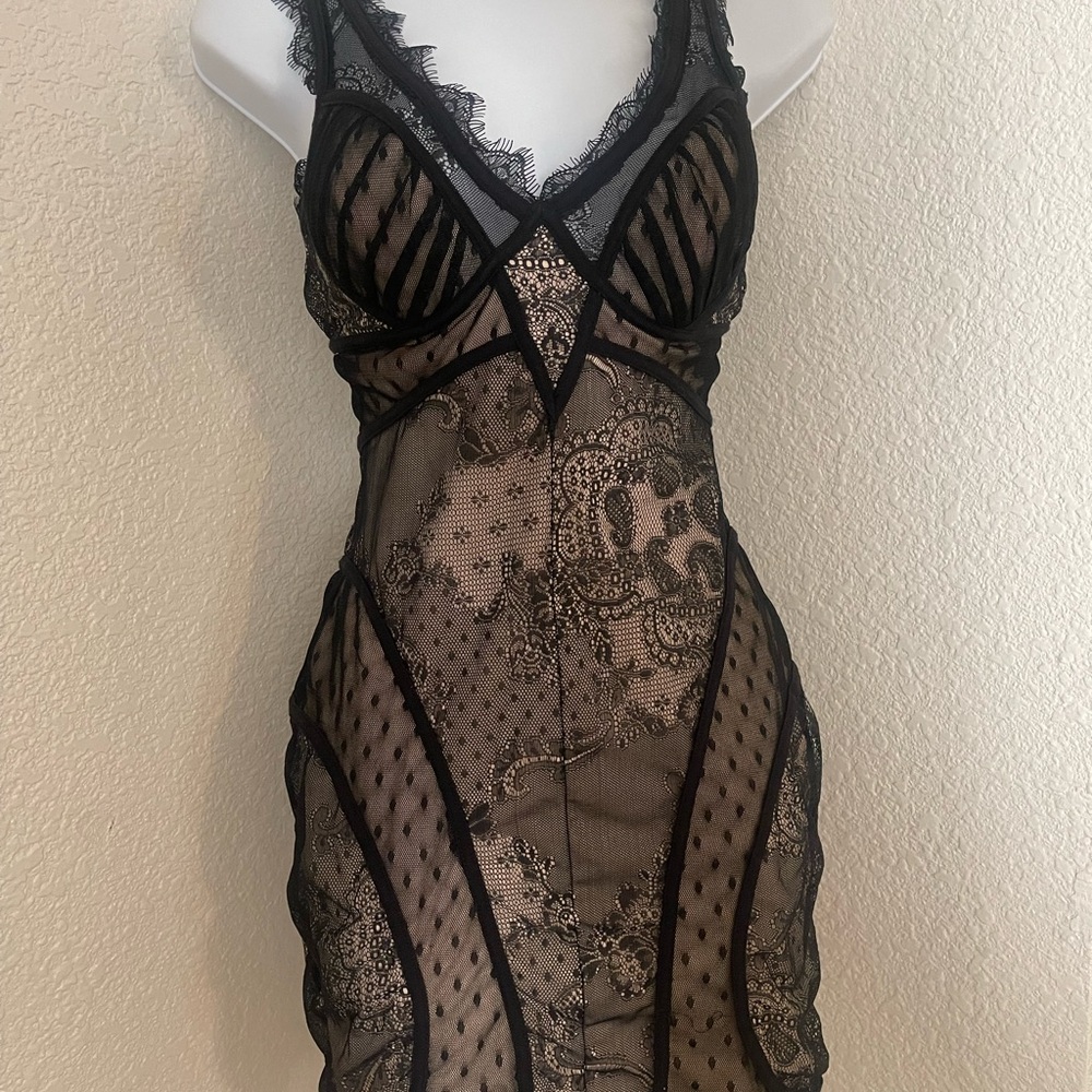 Sexy bebe lace dress